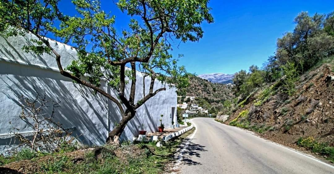Finca El Almendro Árchez Exterior foto