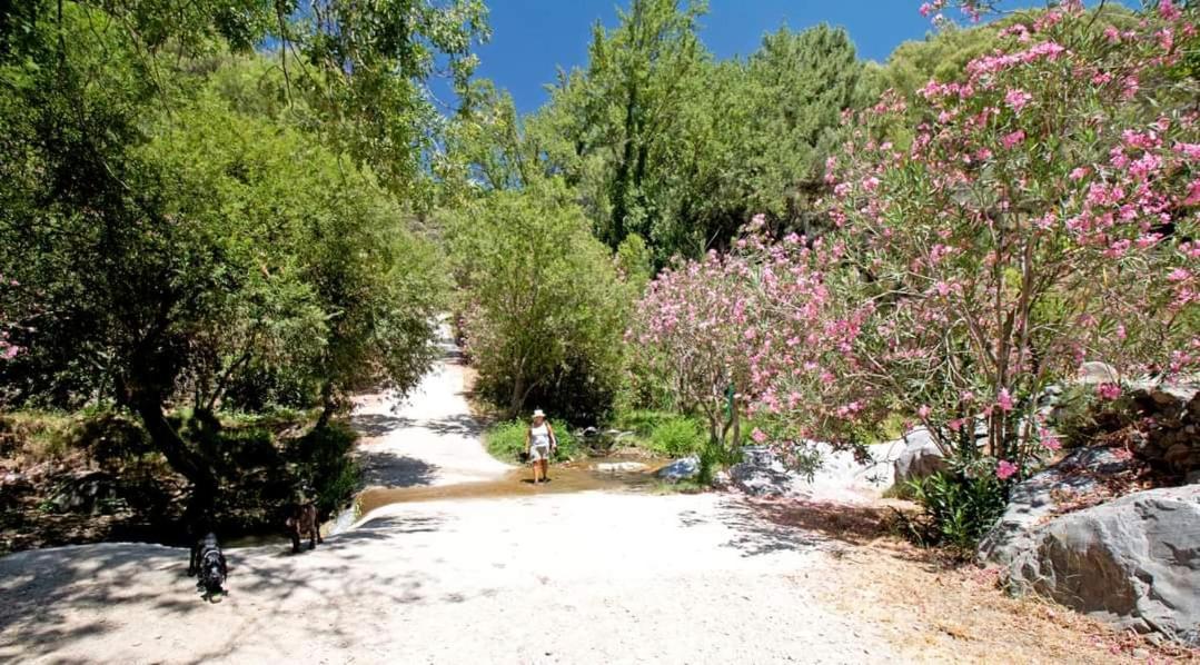 Finca El Almendro Árchez Exterior foto